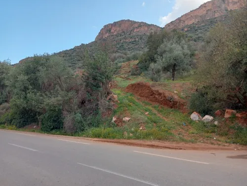 Vente Terrain Agricole Tlemcen Tlemcen