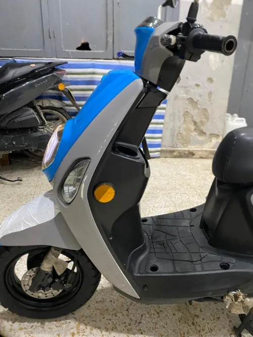 Vms cuxi estat x Cuxi 2021