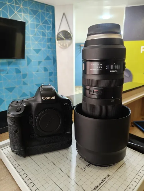 Canon 1DX Mark ii + Tamron 150-600 G2