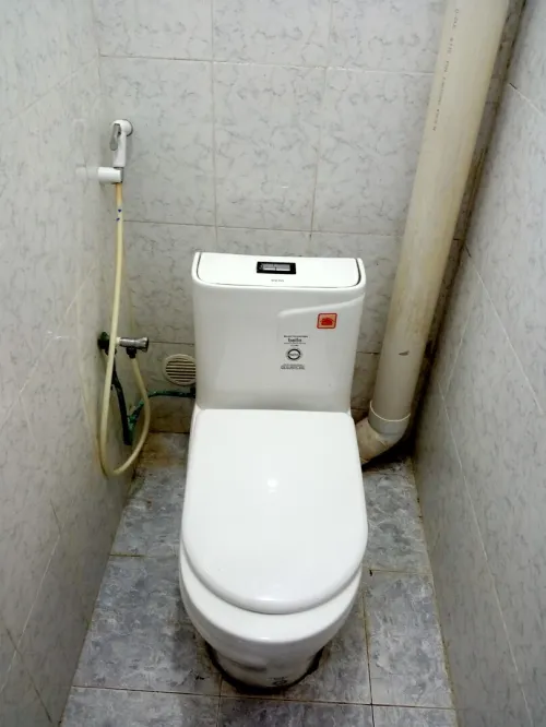 Location Appartement Alger Reghaia