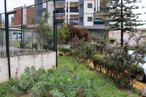Location Villa Alger Dely brahim