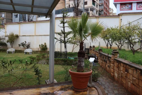 Location Villa Alger Dely brahim