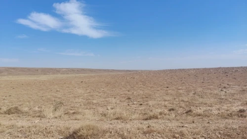 Vente Terrain M'Sila Msila