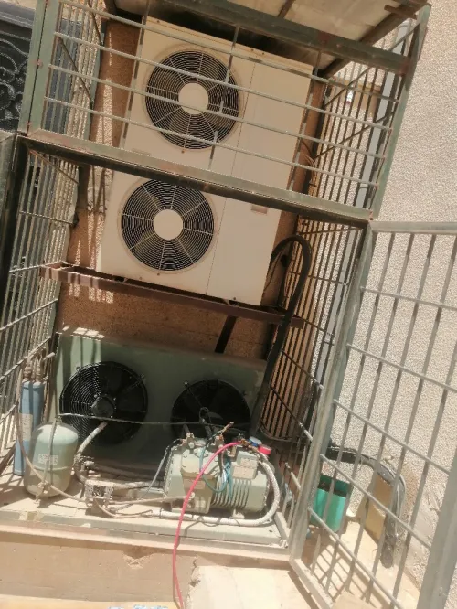 تلمسان 