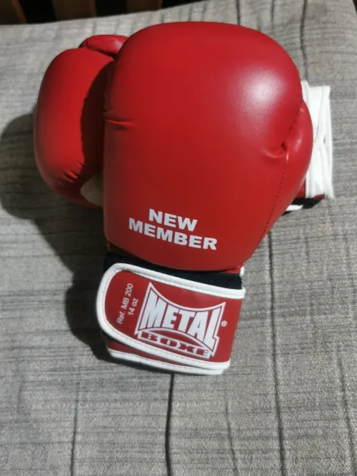 Gants de boxe METAL MB200 Originale