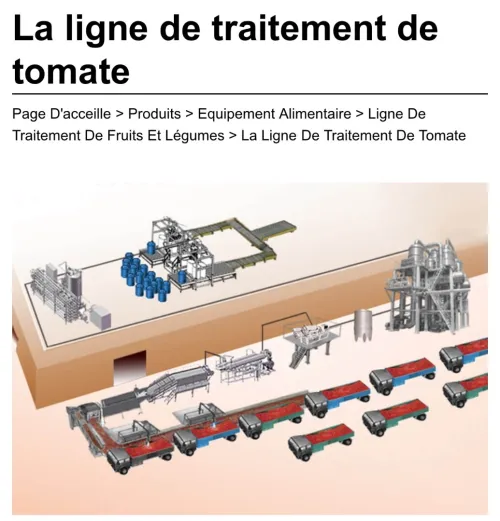 Ligne de production de tomates 