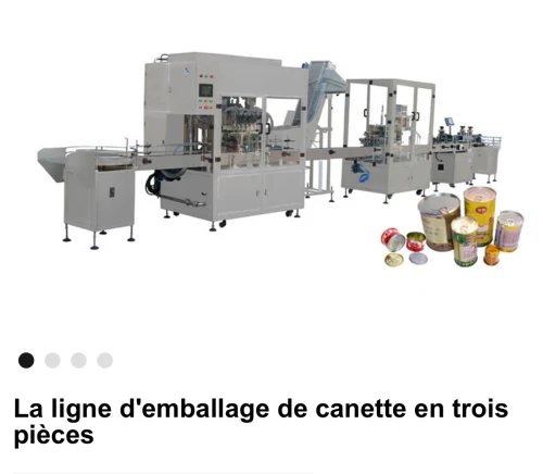 Ligne de production de tomates 