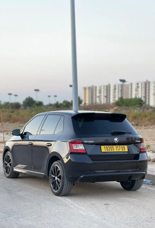 Skoda Fabia 2017 Monte Carlo