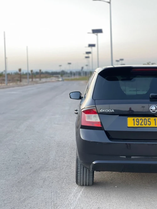 Skoda Fabia 2017 Monte Carlo