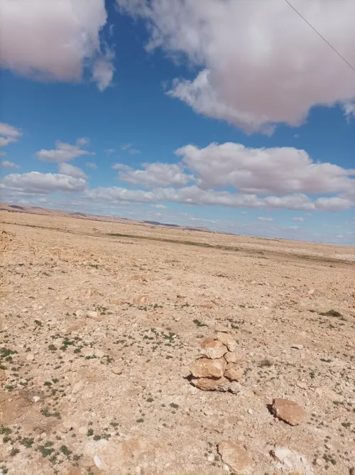 Vente Terrain Agricole Djelfa Tadmit