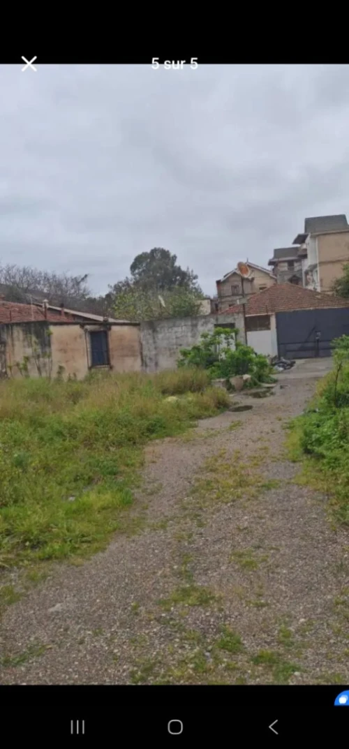 Vente Terrain Alger Mohammadia