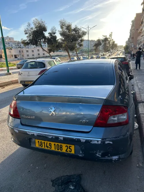Peugeot 407 2008 
