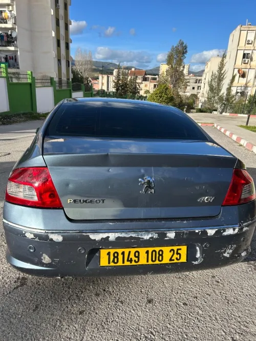 Peugeot 407 2008 