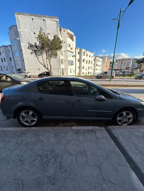 Peugeot 407 2008 