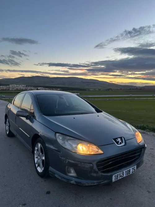 Peugeot 407 2008 