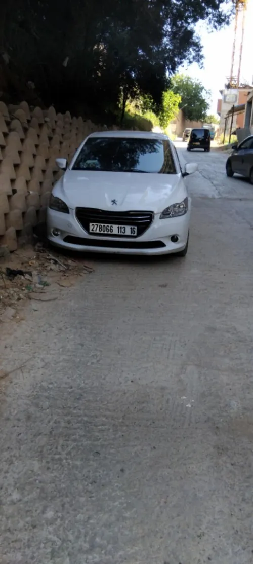 Peugeot 301 2013 301