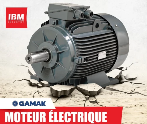 MOTEUR ELECTRIQUE "GAMAK" ORIGINE TURQUIE - محرك كهربائي