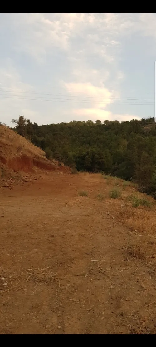 Vente Terrain Tlemcen Honaine