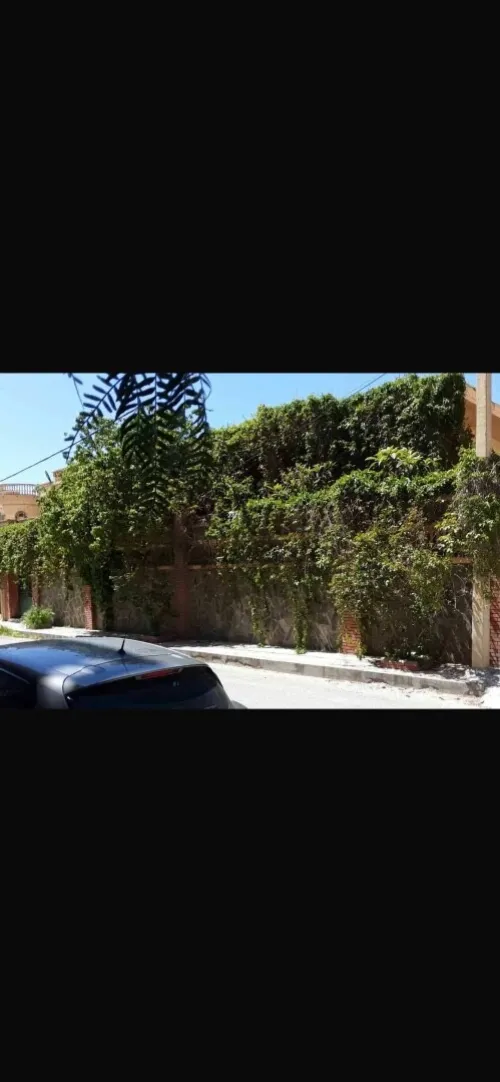 Vente Villa Sétif Setif