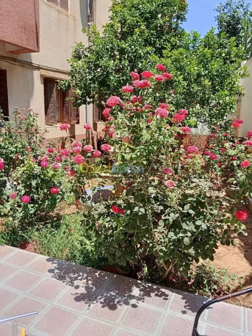 Vente Appartement F4 Alger Beni messous