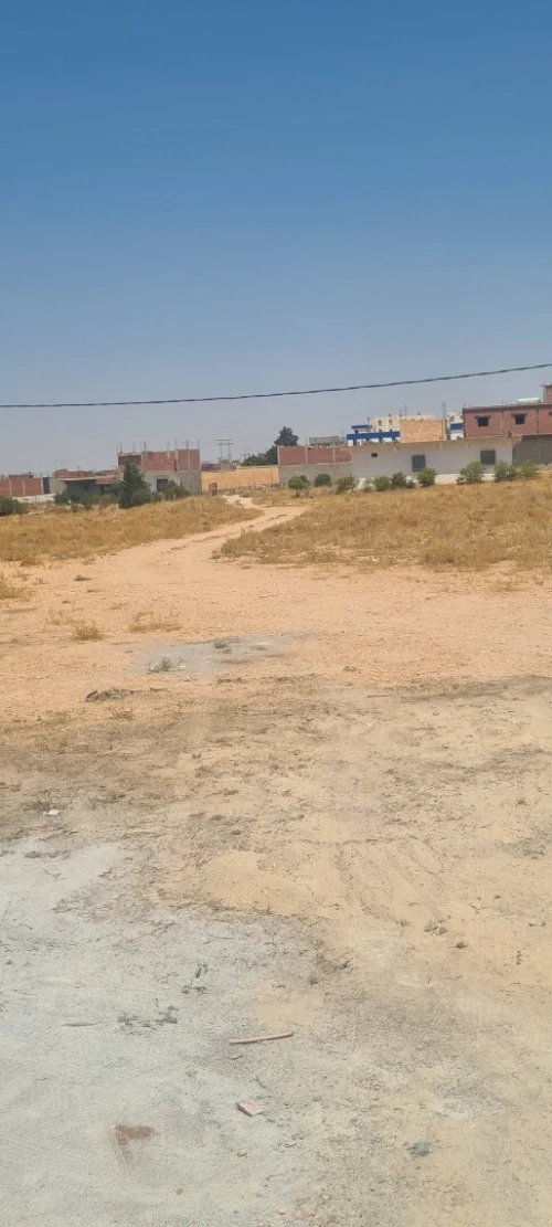 Vente Terrain Oum El Bouaghi Meskiana