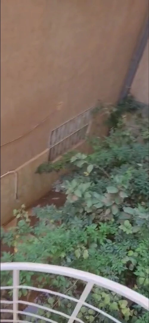 Vente Villa Naâma Mecheria