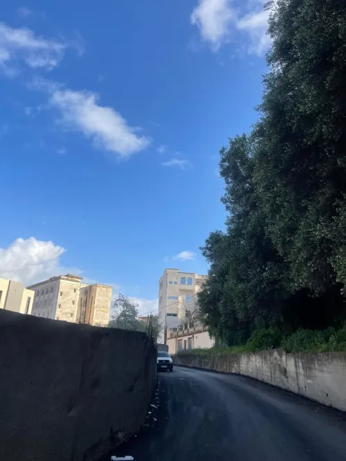 Vente Appartement F4 Alger Bouzareah