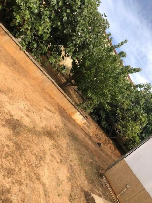 Vente Villa Mostaganem Kheireddine