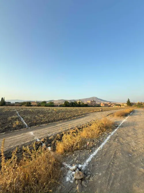 Vente Terrain Mila Ferdjioua