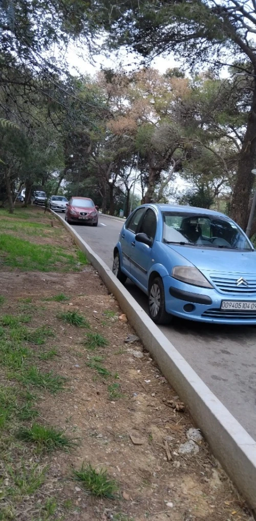 Citroen C3 2004 