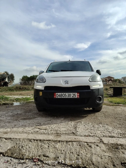 Peugeot Partner 2011 Tepee