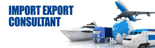 consultant en import export