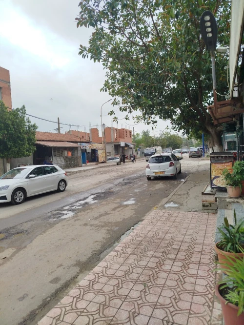 Location Local Boumerdès Sidi daoud