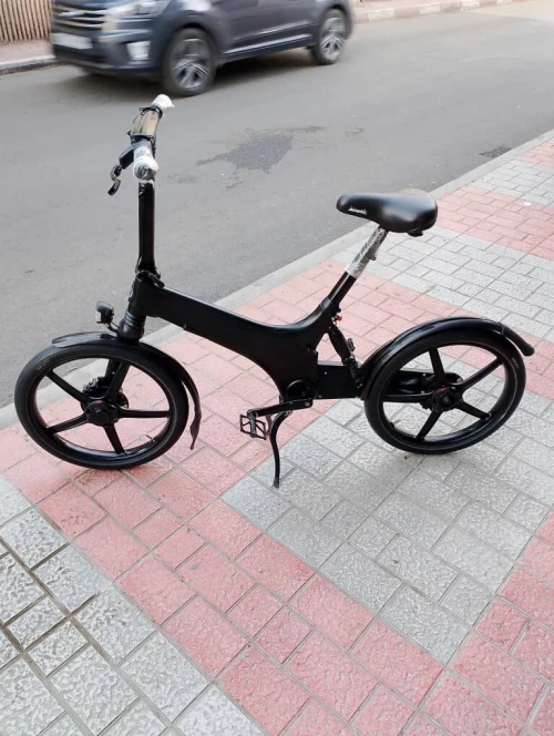 Velo gocycle G3