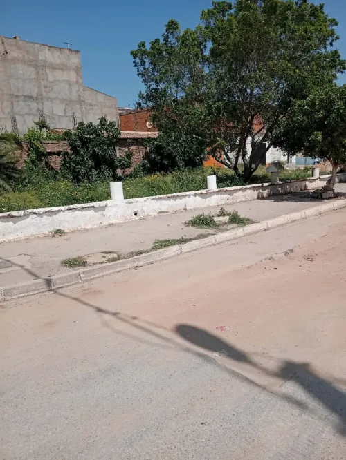 Vente Terrain Mostaganem Sayada