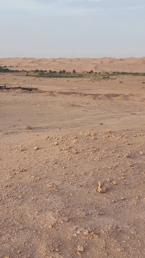 Vente Terrain Ouargla Sidi khouiled