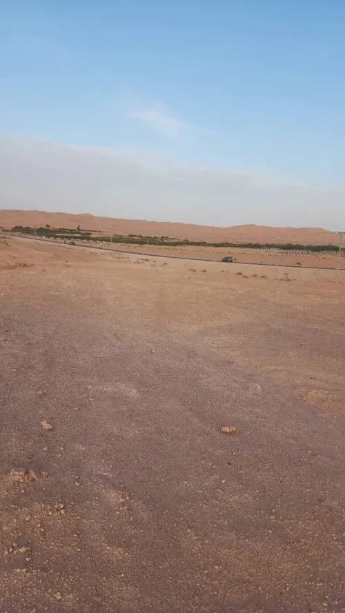 Vente Terrain Ouargla Sidi khouiled