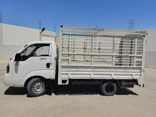 Kia K2500 2019 K2500