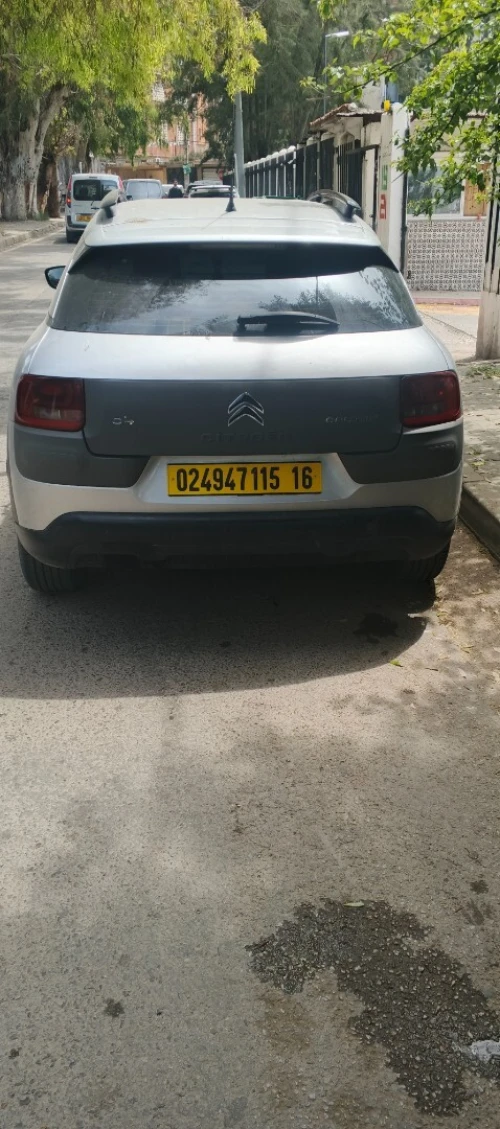Citroen C4 Cactus 2015 C4 Cactus