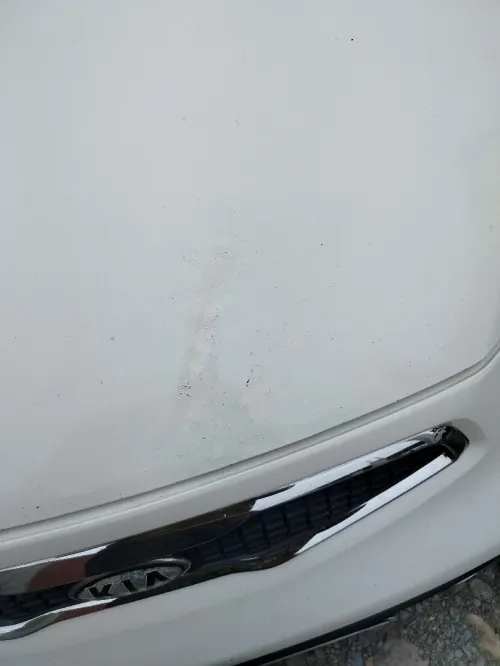 Kia Picanto 2012 Pop