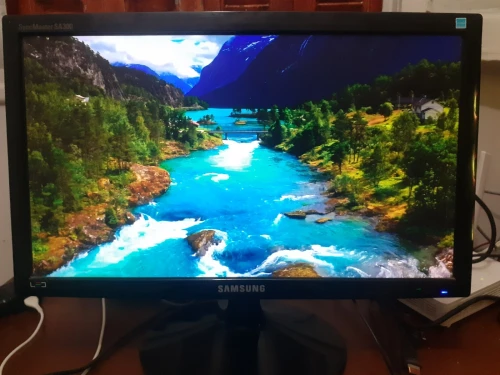 Écran Samsung LED 19 pouce syncmaster sa300 60hrz