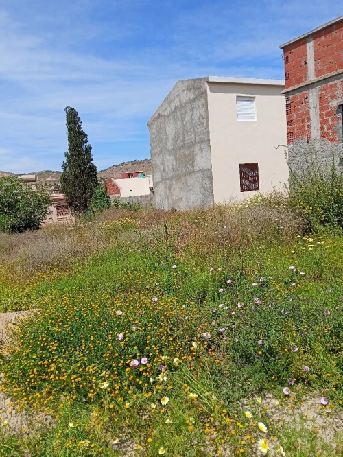 Vente Terrain Tlemcen Dar yaghmouracene