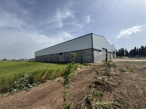 Location Hangar - Usine Sétif Mezloug