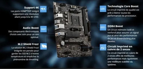 CARTE MERE MSI A520M-A PRO