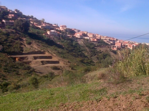 Vente Terrain Tipaza Cherchell