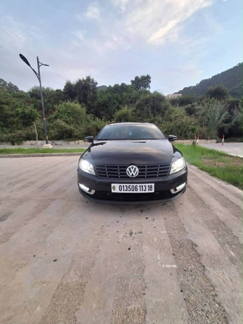 Volkswagen Passat CC 2013 Passat CC