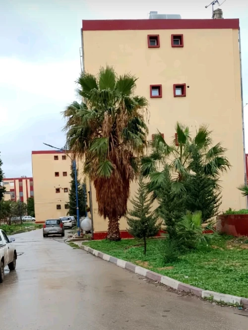 Vente Appartement F4 Chlef Chlef