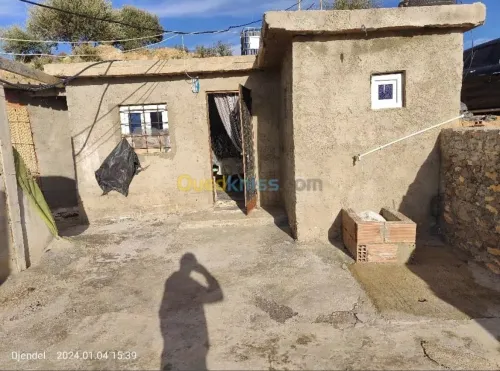 Cherche achat Terrain Agricole Aïn Defla Djendel