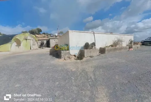 Cherche achat Terrain Agricole Aïn Defla Djendel