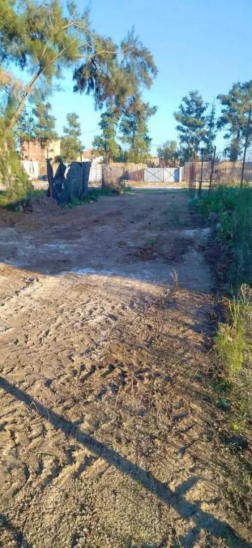 Vente Terrain Alger Reghaia